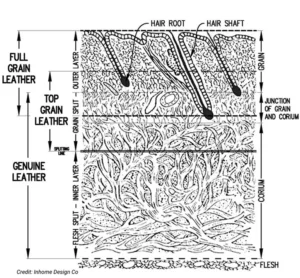 full grain top grain layer